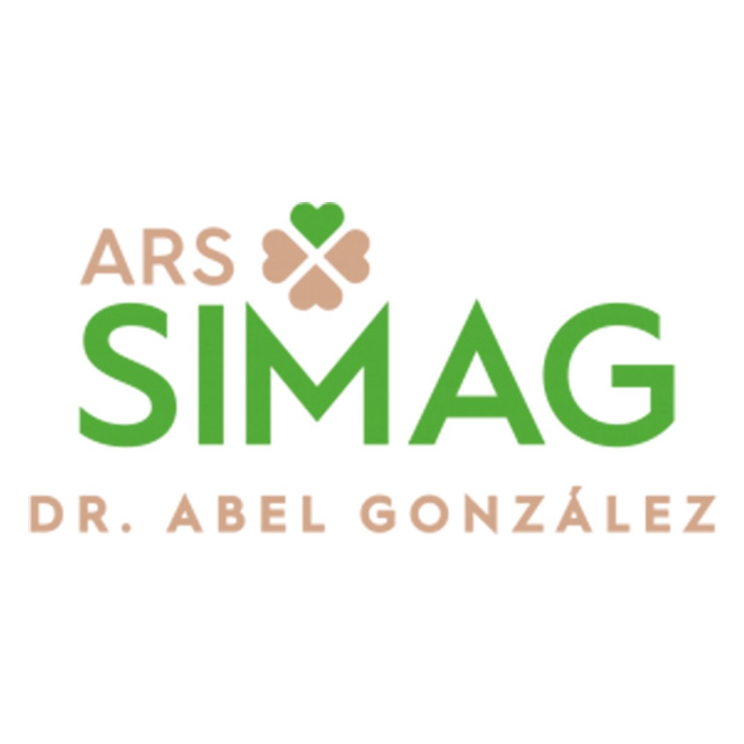 ARS SIMAG